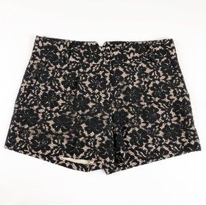 BCBGMAXAZRIA Lace Shorts / 0